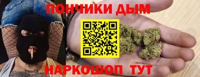 индика Можайск