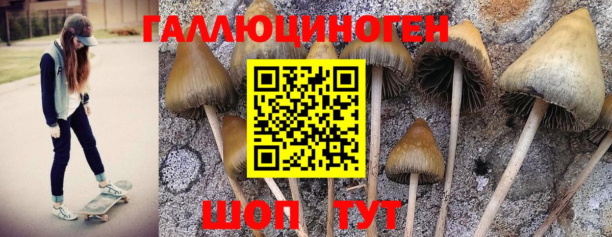 Галлюциногенные грибы Cubensis  Вход с VPN  Галлюциногенные грибы MAGIC MUSHROOMS  Чусовой 